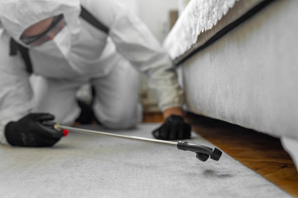Professional Mosquito Control technician working in Sharpes, FL