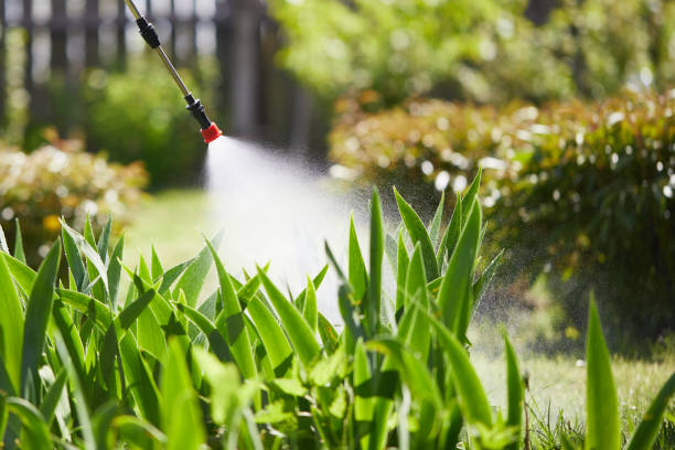 24/7 Emergency Mosquito Control experts in Sharpes, FL